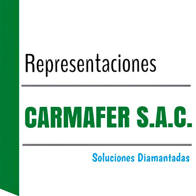Carlos O. Carrillo Medina, Gerente General